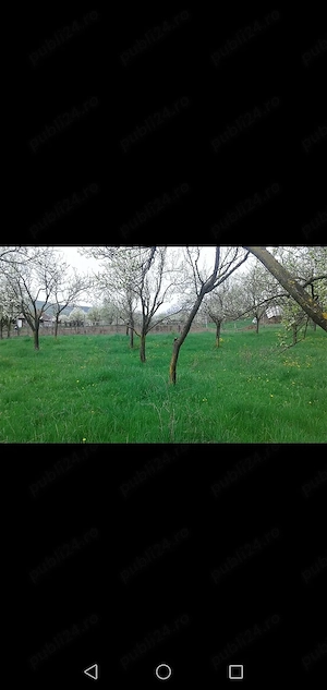 De vanzare casa cu livada, curte si garaj in Caianu Mic jud.Cluj - imagine 8
