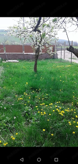 De vanzare casa cu livada, curte si garaj in Caianu Mic jud.Cluj - imagine 9