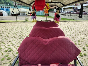 Mașina electrică - Golf Cart 8 locuri - imagine 9
