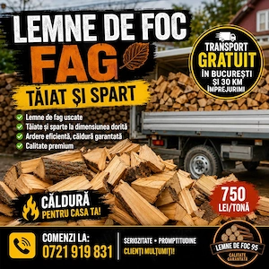 lemne pentru sobe fag
