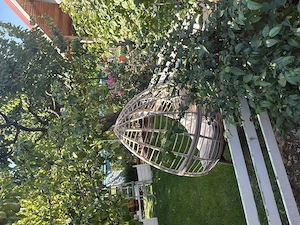 Casa 180 mp,25 km de Bucuresti,curent 380 - imagine 4