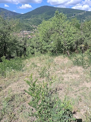 De vanzare teren mehadia