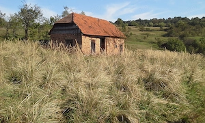 Teren de vânzare 