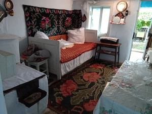 Casa locuibila + curte si gradina - Solont, Bacau - imagine 3