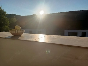   Vand s-au schimb Casă boierească autentică restaurată Bujoreni Muzeul Satului 2000m teren  - imagine 9