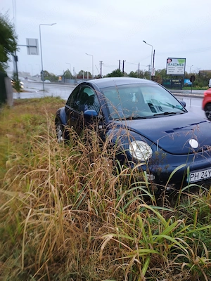 Volkswagen Beetle an 2000 - imagine 9