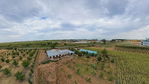 Livadă de 3,6 hectare în Iratoșu – Oportunitate - imagine 9