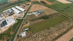 Livadă de 3,6 hectare în Iratoșu – Oportunitate - imagine 5