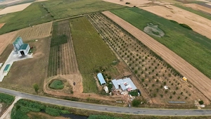 Livadă de 3,6 hectare în Iratoșu – Oportunitate - imagine 4