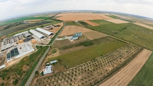 Livadă de 3,6 hectare în Iratoșu – Oportunitate - imagine 6