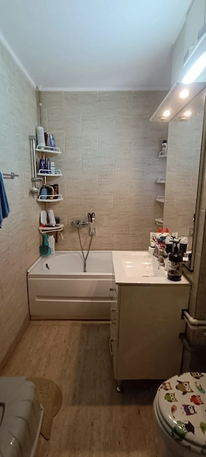 De vanzare apartament 3 camere Prelungirea Ghencea - imagine 10
