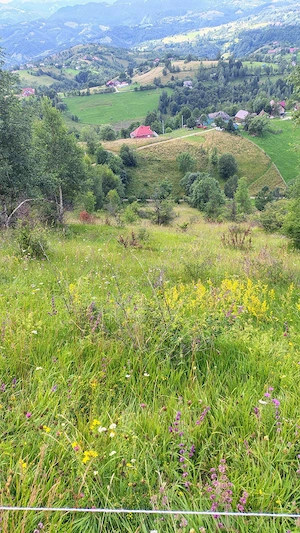 Teren intravilan Magura, Brasov - imagine 7