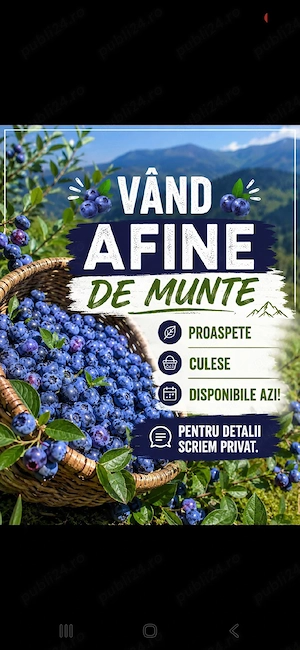 vand afine de padure