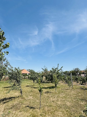 Casă de vânzare Chișirid Bihor - imagine 8