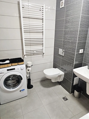 apartament coresi in regim hotelier  - imagine 4
