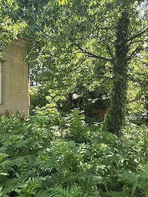 Teren 998 mp intravilan, Dumbrăvița, pe colț  - imagine 4