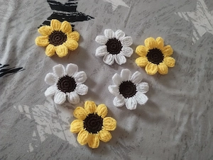 Set 6 flori crosetate