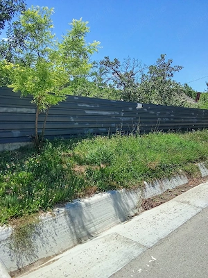Vand teren + casa bătrânească