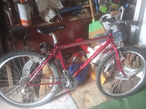 Bicicleta Radeigh