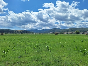 Teren intravilan Vama Buzăului, jud. Brașov - imagine 2