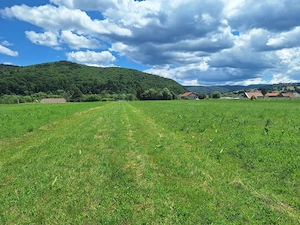 Teren intravilan Vama Buzăului, jud. Brașov - imagine 3