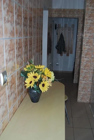 Inchiriere apartament 1 camera Plaja Modern termen lung - imagine 5