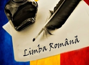  Meditații ONLINE la Limba și Literatura Română   Liceu