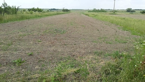Teren intravilan 5.000 mp + casă locuibilă   Vlaici, Olt   utilități și asfalt