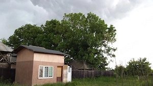 Teren intravilan 5.000 mp + casă locuibilă   Vlaici, Olt   utilități și asfalt - imagine 8
