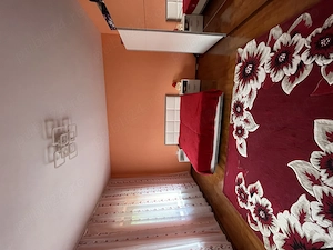  Casă de vânzare în Iecea Mare, județul Timiș - imagine 9