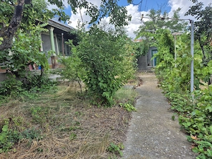 Casa cu teren intravilan - 6.048 mp , Vârlezi, jud. Galați - imagine 4