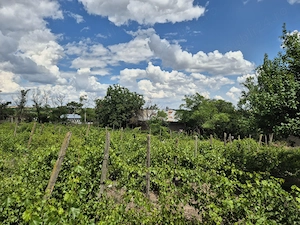 Casa cu teren intravilan - 6.048 mp , Vârlezi, jud. Galați - imagine 5