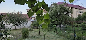 Casa si teren de vanzare Moinesti - imagine 4