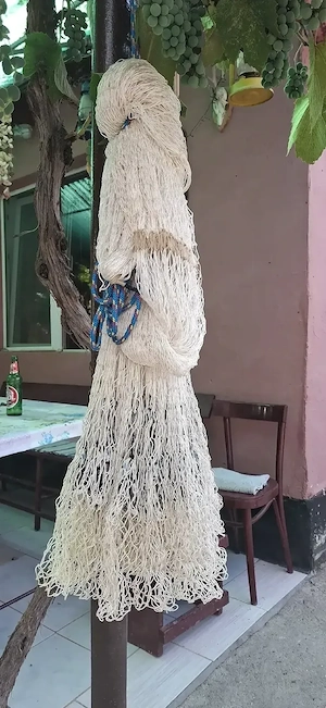 prostovol pescuit 