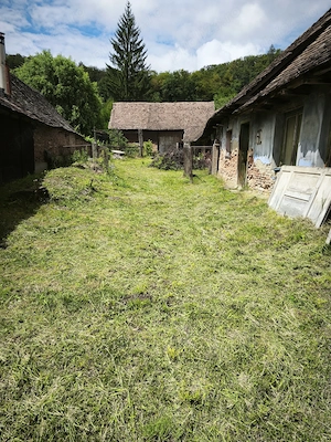 Proprietate cu potențial în Apold si 50 ari teren curte și gradina  - imagine 5