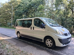 Renault trafic - imagine 5