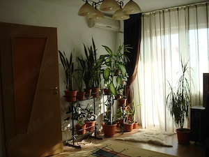 Apartament 2 camere de inchiriat proprietar - Dristor - imagine 3