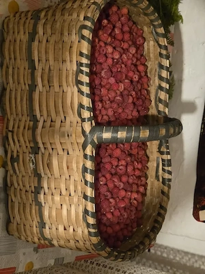fructe de padure