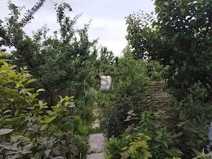 Schimb casă și teren în Tulcea cu casă și teren în Câșlița sau Mineri - imagine 9