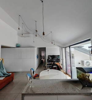 Apartament 6 camere si terasa cu vedere spre Gradina Botanica  - imagine 4
