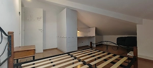 Apartament 6 camere si terasa cu vedere spre Gradina Botanica  - imagine 6
