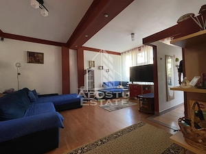 Casa Freidorf Timisoara - imagine 3