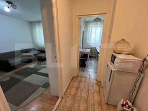 Apartament de vanzare 2 camere, 45 mp, mobilat si utilat,  Bd. Decebal - imagine 6