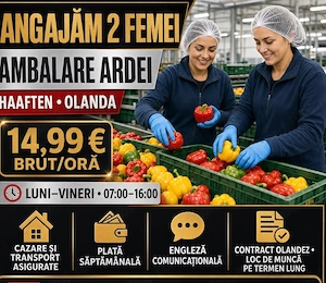 Locuri de munca la  sortat de ardei în hala