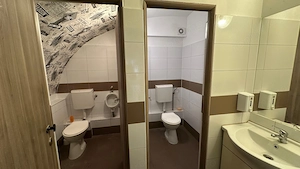 Spatiu comercial zona centrala 55mp+curte 30mp - imagine 7