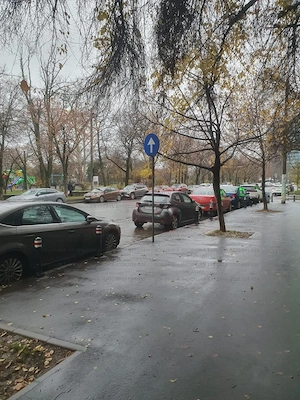 | Lacul Tei |Spațiu Comercial Stradal  Vad Comercial Bun | Vizibilitat - imagine 18