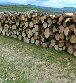 Vand lemne de foc esenta tare transport la domiciliu 