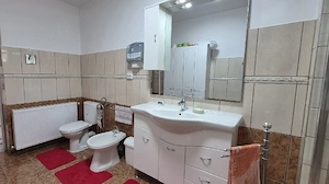 Proprietar   Vând casă pe drumul principal, izolata, cu garaj și grădină, la intrare în Bodrogu Nou - imagine 7