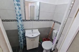 Apartament 1 camere zona Central/Cat friendly - imagine 4