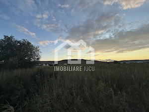 Teren – 7.194 mp | Răscruci – Zona Tetarom - imagine 3
